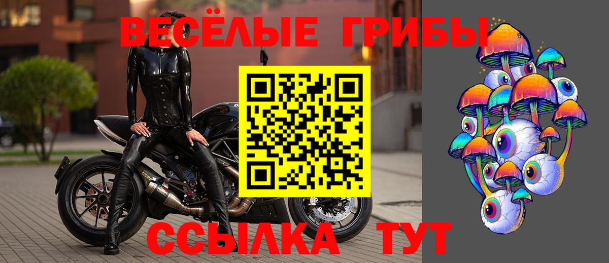 Галлюциногенные грибы Psilocybe  Галлюциногенные грибы Psilocybine cubensis  Вход с VPN  Куйбышев 